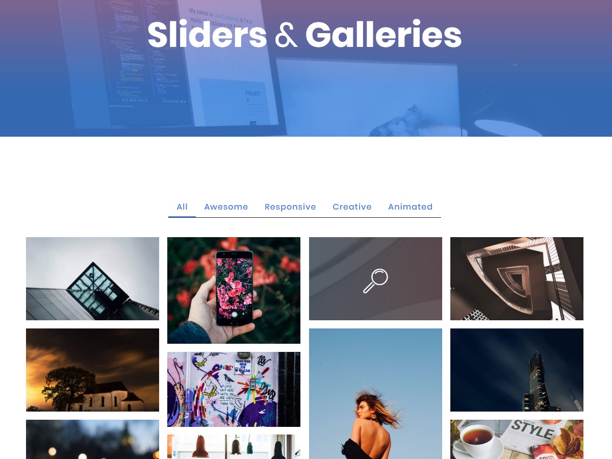 Slider and Gallery 
