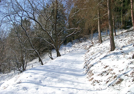 Winter in Tharandt