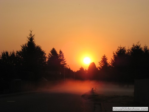Amazing sunrise with the fog crawling across the roadway.